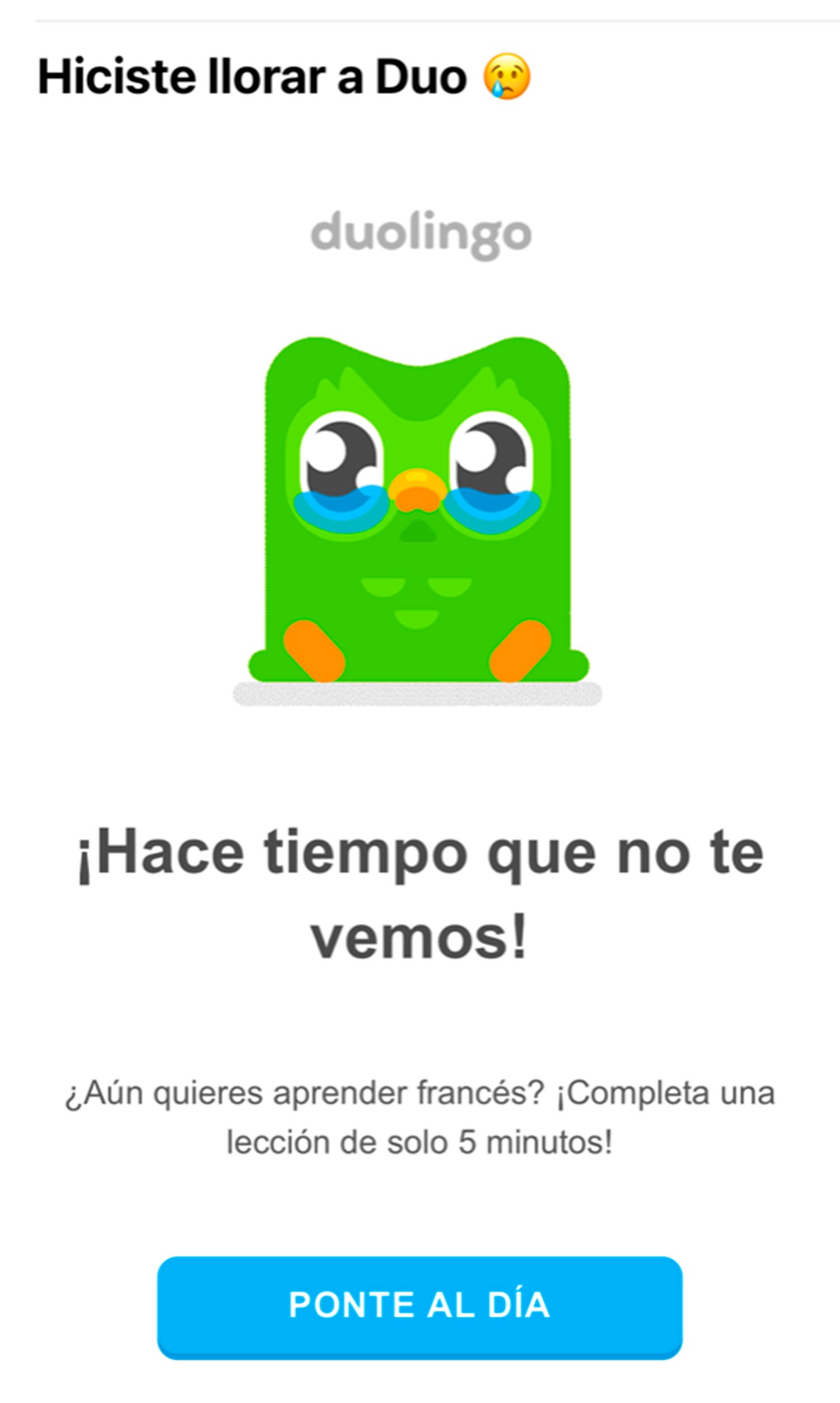 Duolingo y su simplicidad