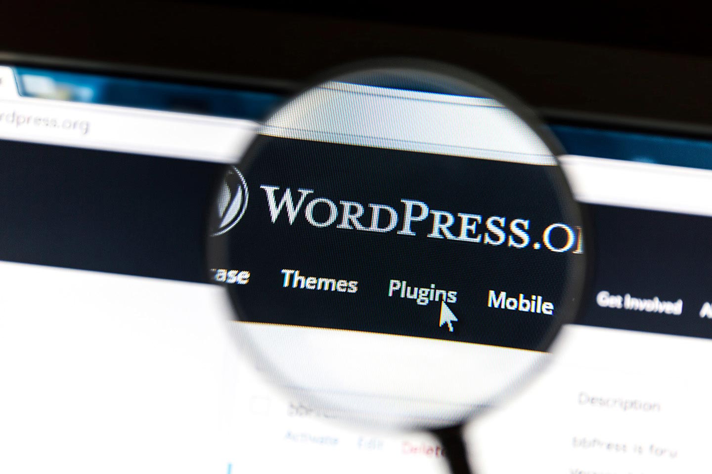 Cómo instalar plugins de WordPress