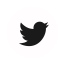 Twitter Logo